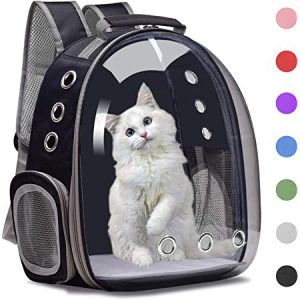 cat carry bag