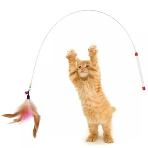 cat stick toy