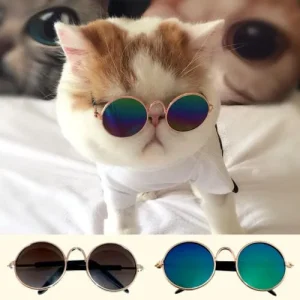 cat sunglass