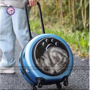 cat trolly bag