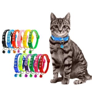 cat collar adjustable cat collar for all kinds of cats